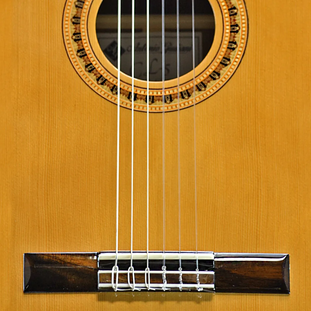 CLEARANCE Antonio Giuliani CL-5 Mahogany Classical Guitar Outfit