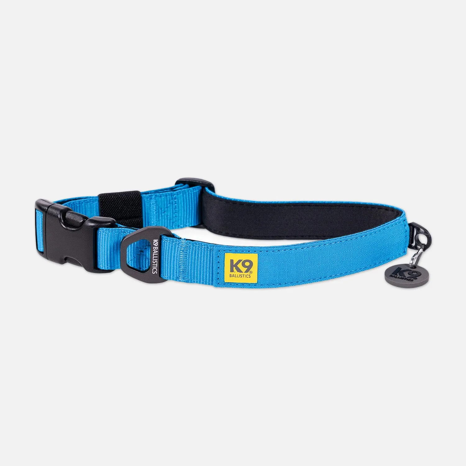 K9 Everyday™ Dog Collar - Seasonal Colors