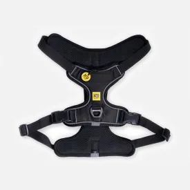 K9 Everyday™ Dog Harness - Seasonal Colors