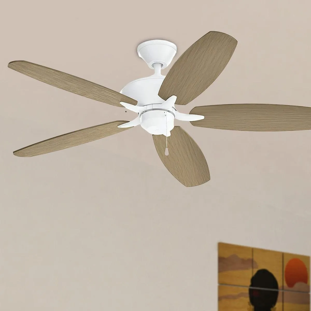 Renew Energy Star 52" Ceiling Fan